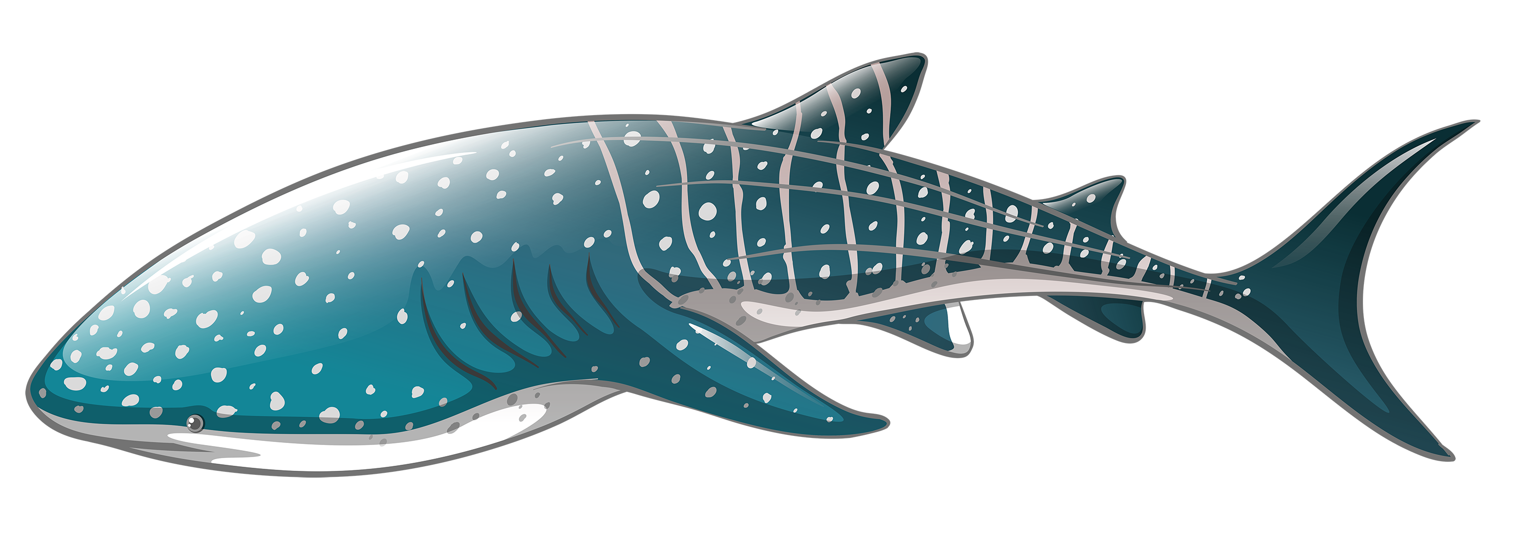 Icon Whaleshark Whale Shark Png