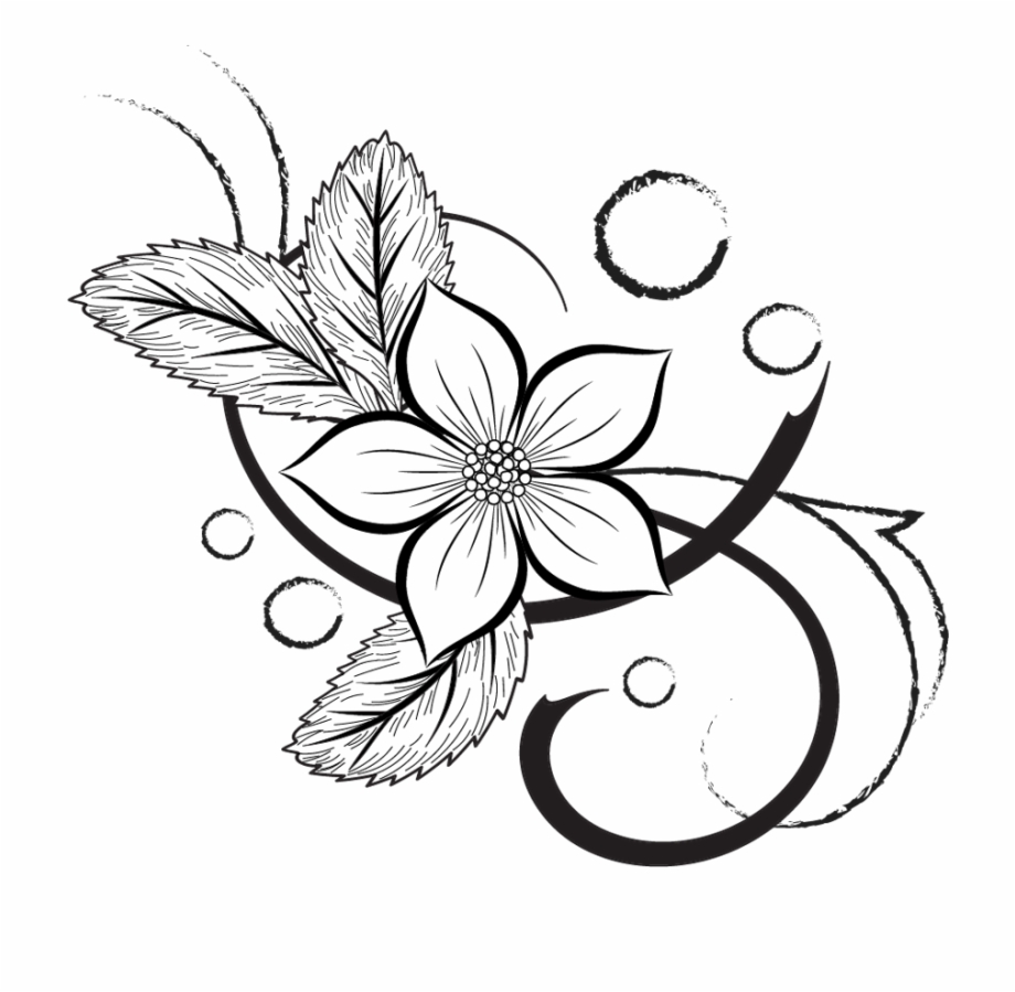 Flowers Illustrations Png Line Art