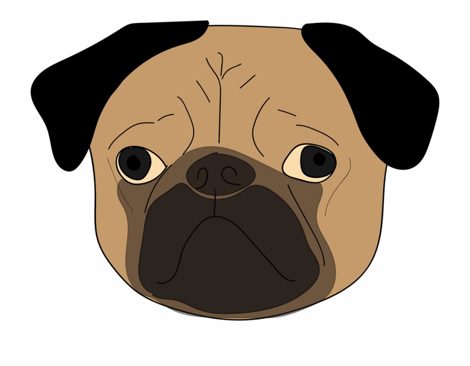 Young Pug Puppie Pug Face Transparent Background