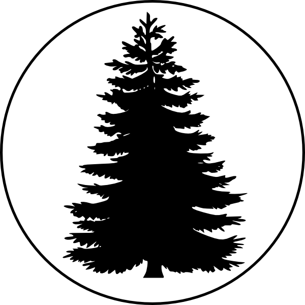 Pix For Evergreen Tree Outline Pine Tree Silhouette