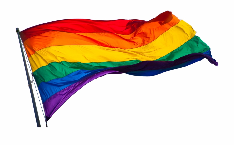 Figure Flags Png Image Lgbt Flag Png