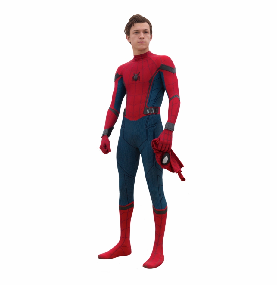 Spider Man Standing Png Download Image Spiderman Tom - Clip Art Library