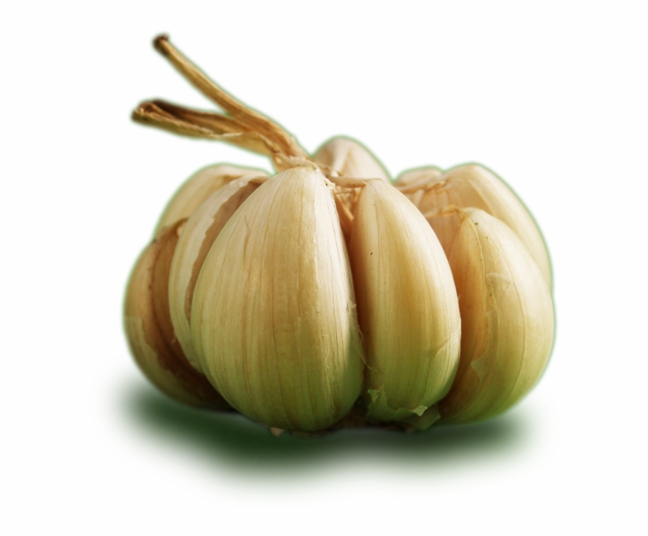 Ontos Garlic Garlic