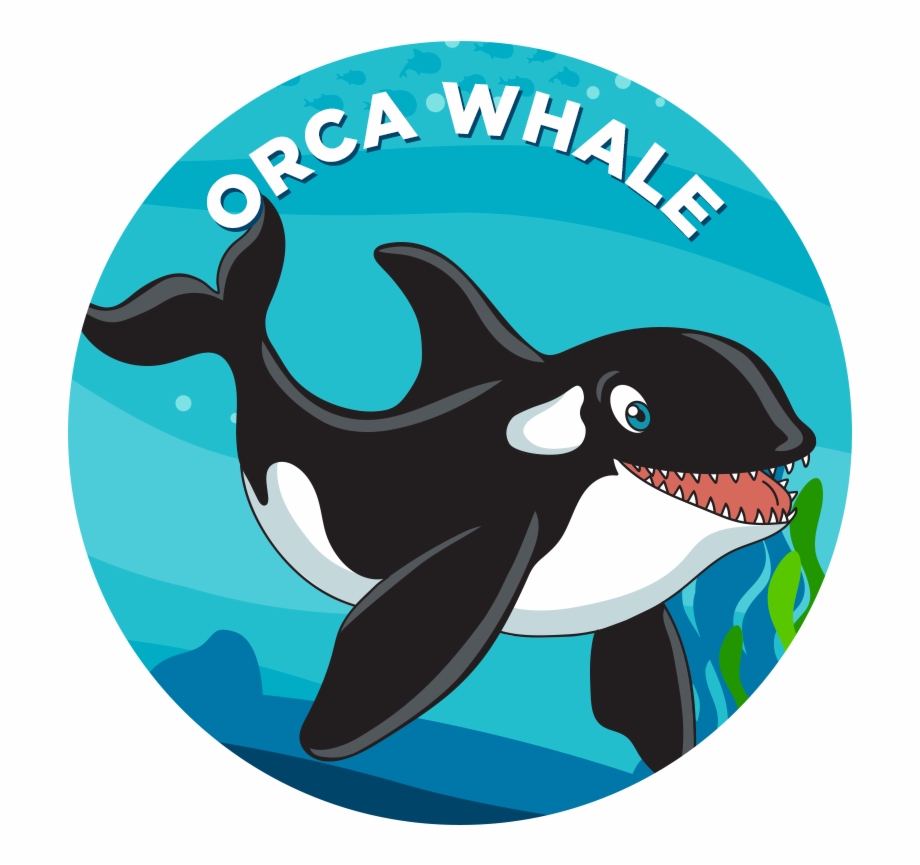 Orca Whale Mako Shark Cartoon