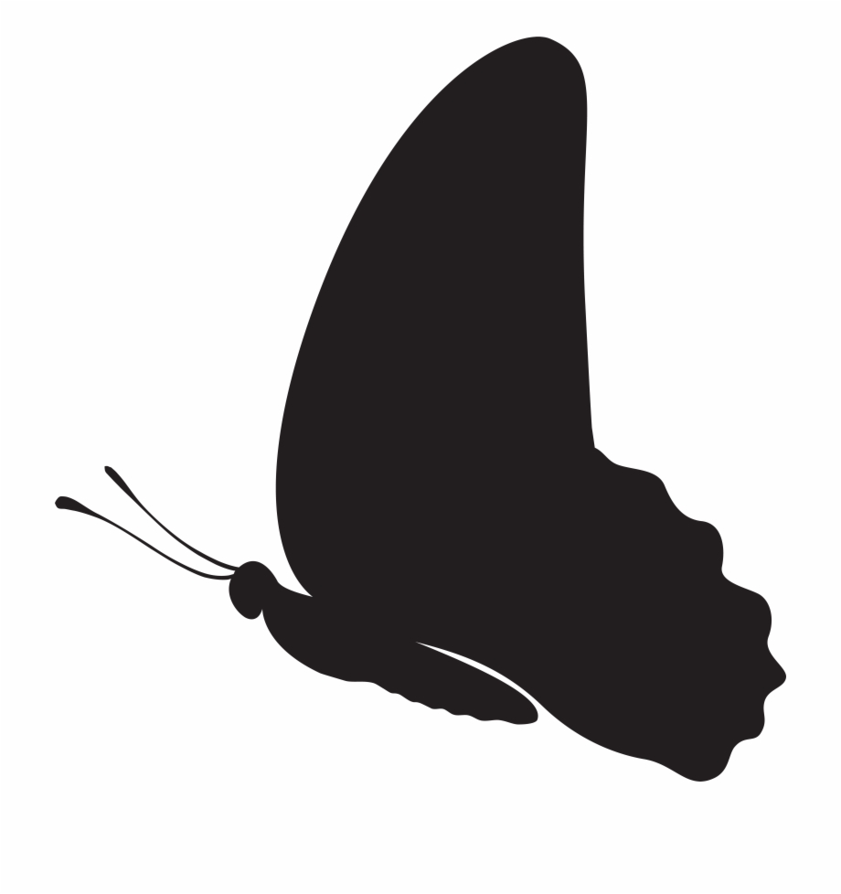 Butterfly Silhouette Png