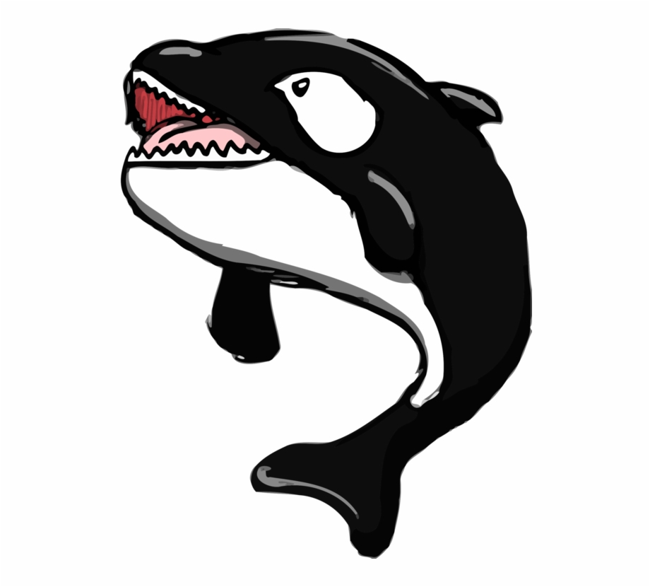 killer whale cartoon

