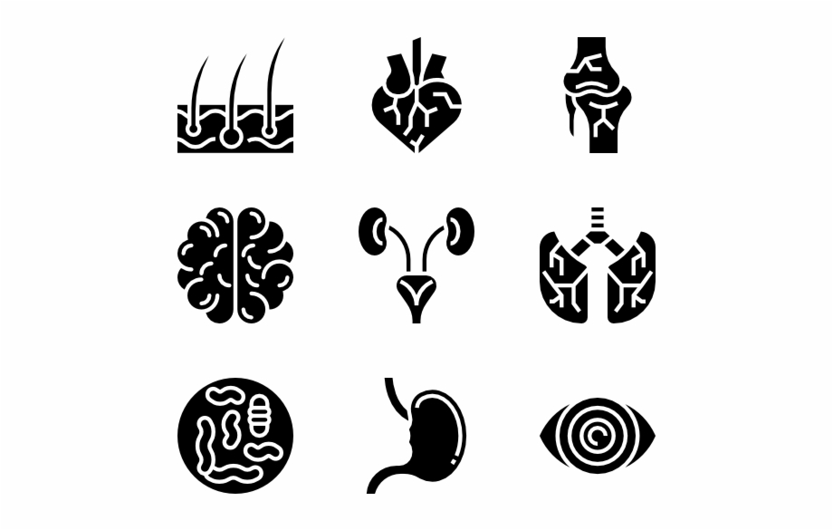 Human Organs Success Icons