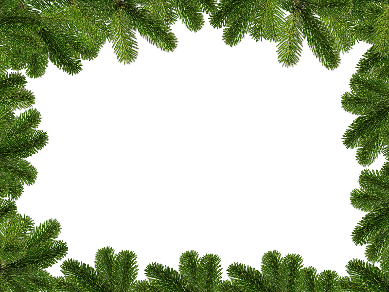 Evergreen Branch Png