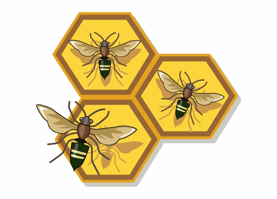 Honey Bee Free Clip Art Png Download Honey