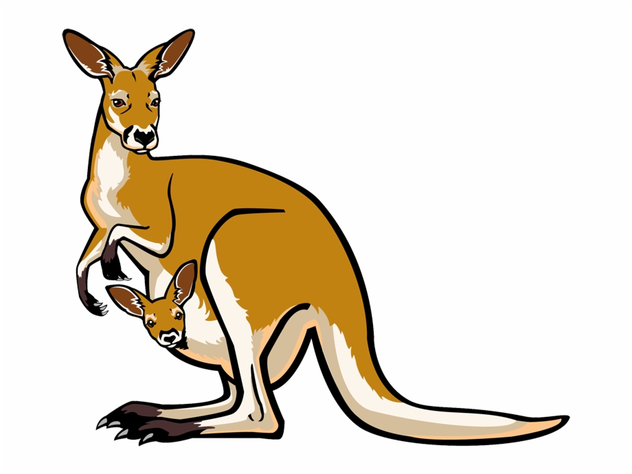 Clip Art Zoo Animals Kangaroo Clipart