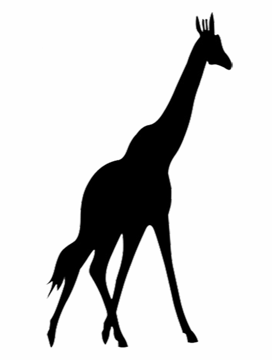 Giraffe Silhouette Giraffe Silhouette Silhouette Clip Animal Silhouettes