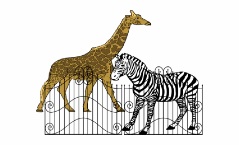 Animals In Zoos Clipart