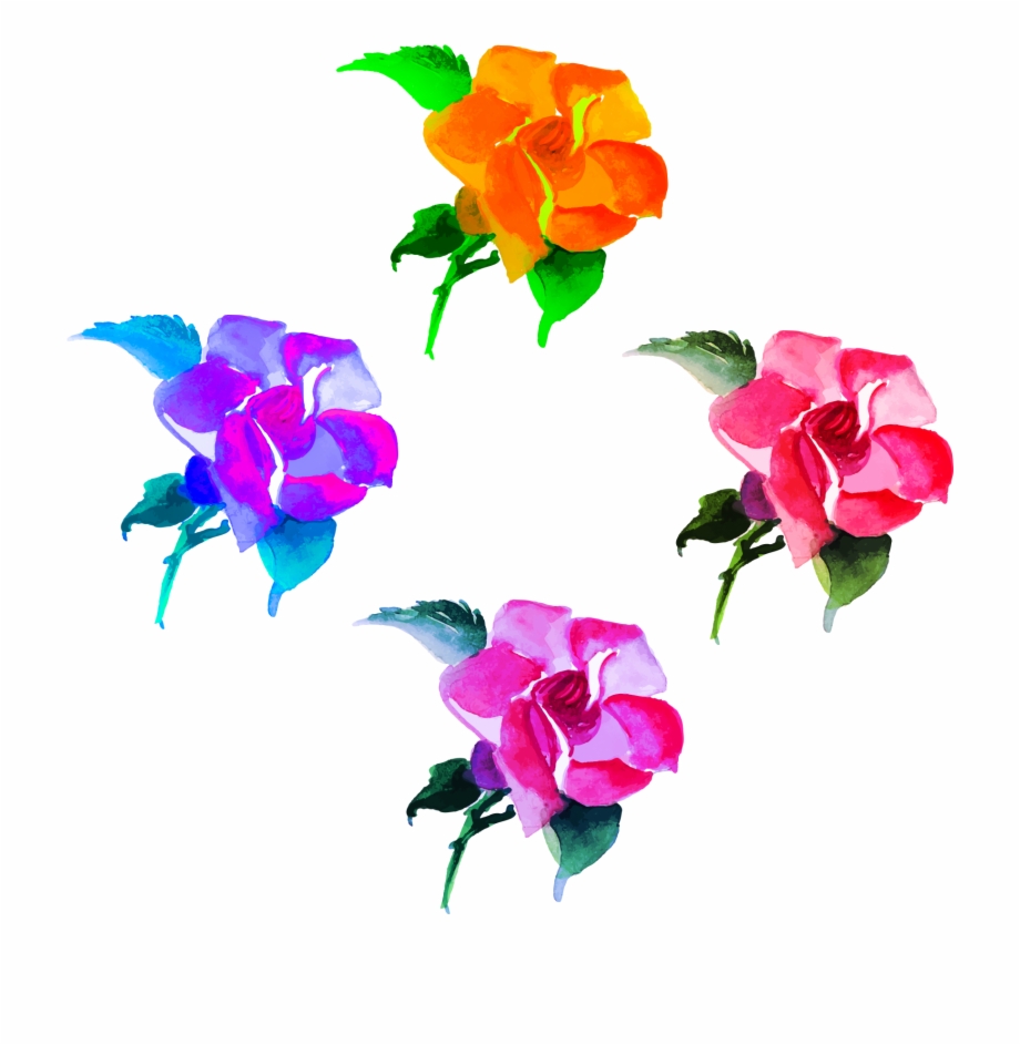 Flowers Fresh Hand Painted Png And Psd Bougainvillea