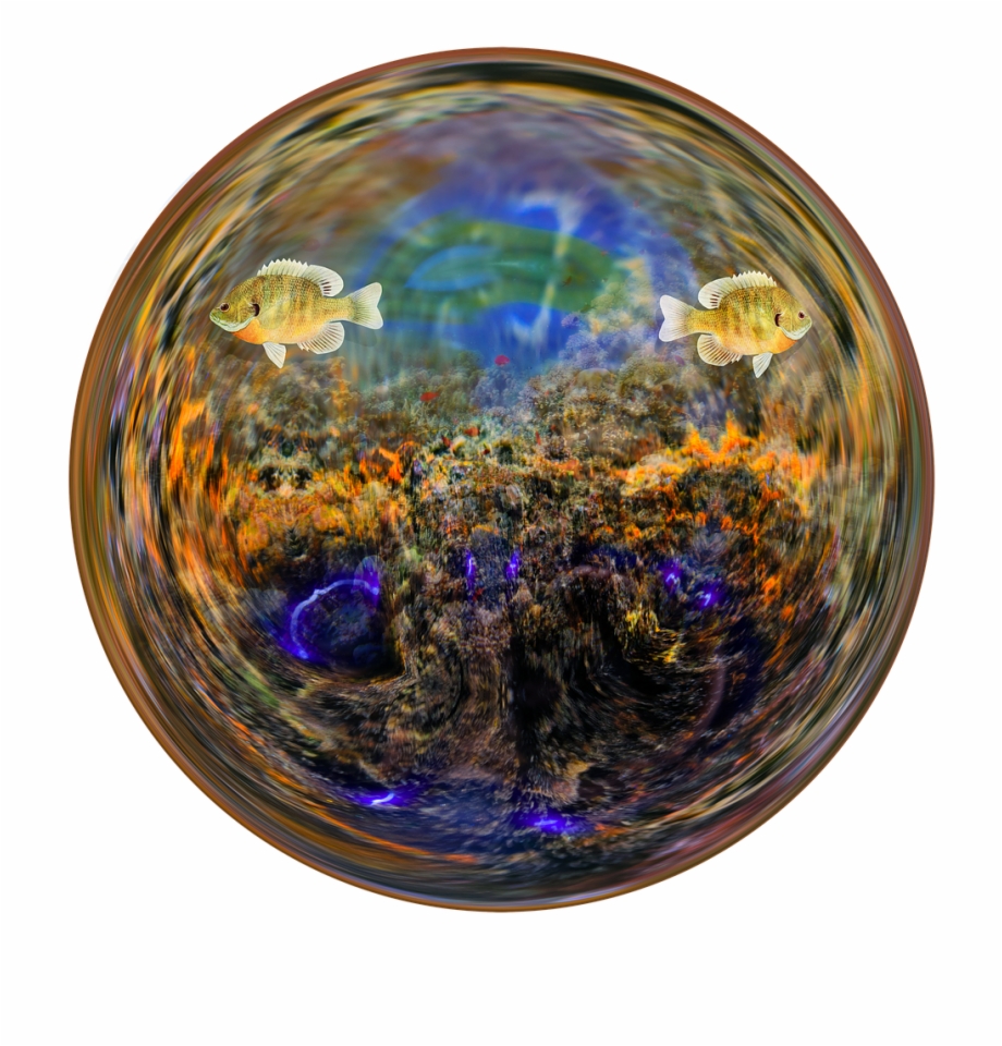 Fish Aquarium Water Glass Ball Png Image Circle