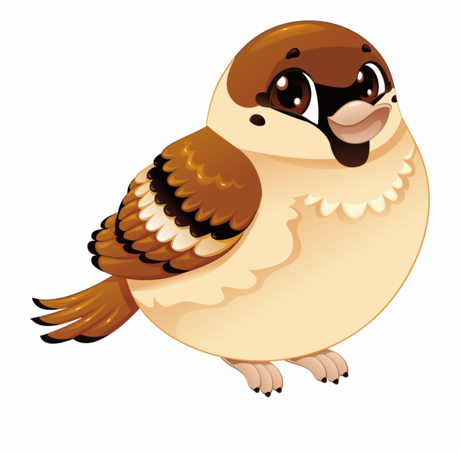 House Sparrow Bird Cartoon Sparrow Cartoon
