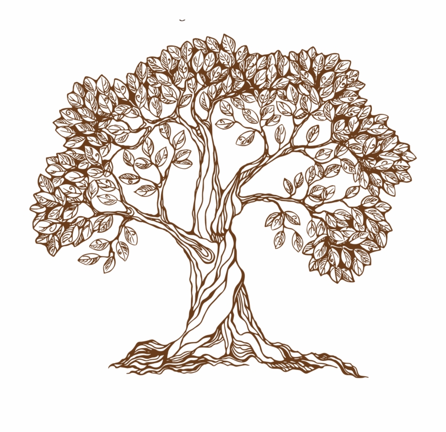 Old Drawing Apple Tree Hand Drawn Tree Png