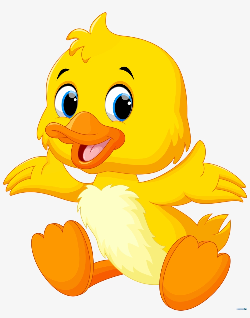 Baby Duck Png