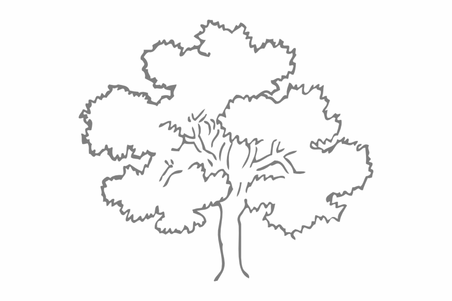 Family Tree Outline Template Outline Pictures Of Tree