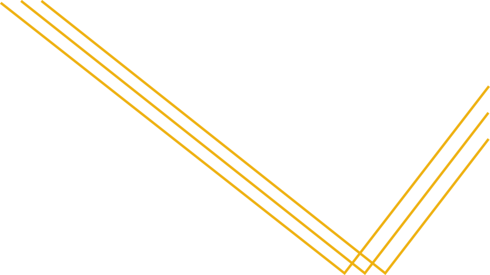 gold line vector