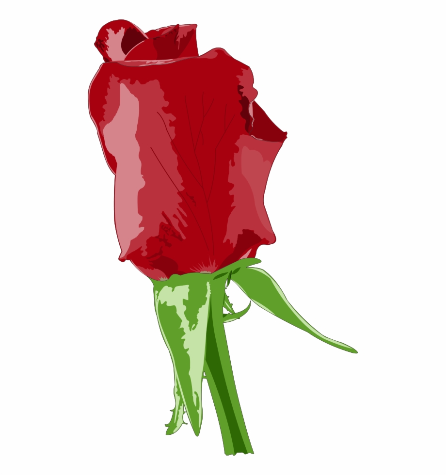 Rose Vector Withered Cartoon Rose Png