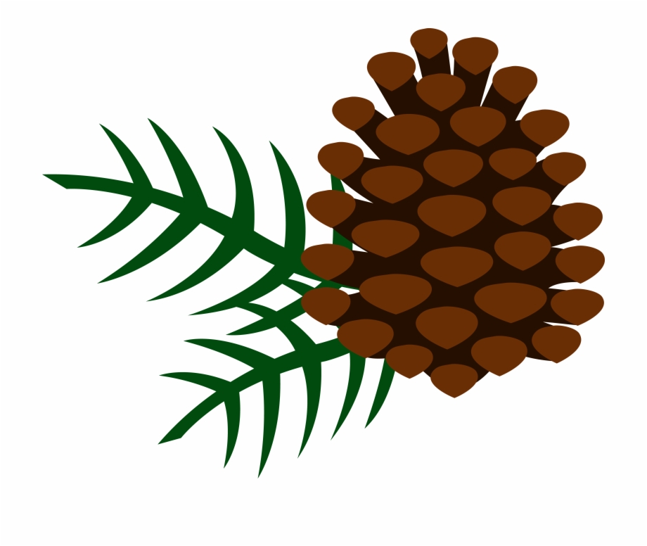 Pinecone Png