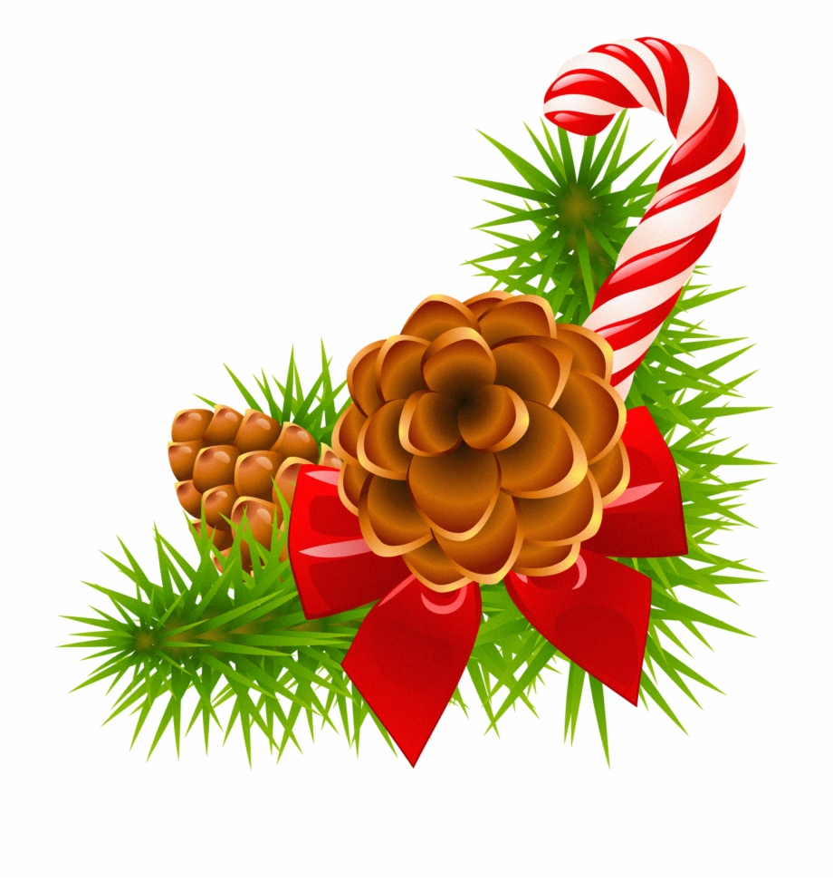 Holydays Clipart Pinecone Christmas Pine Cones Clipart