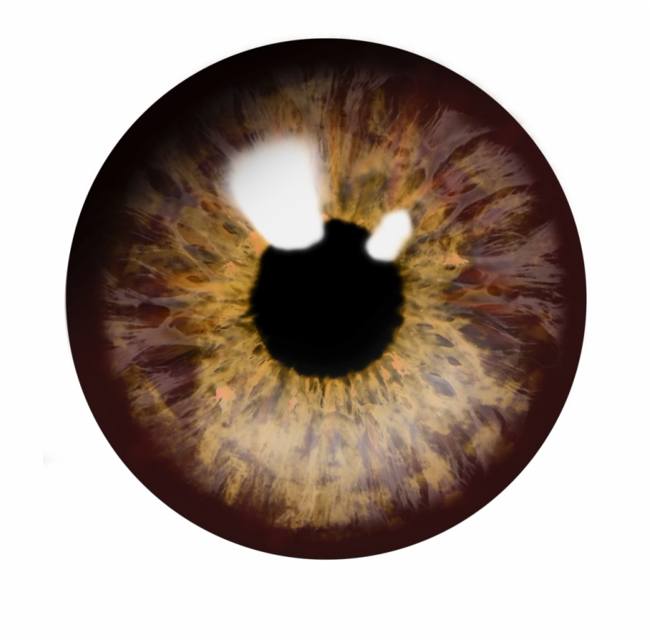 Eye Png Brown Eyes Transparent Background Clip Art Library