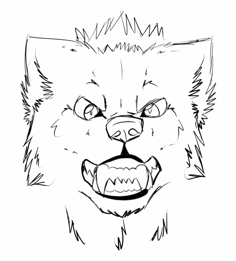 Wolf Face Drawing Angry Wolf Head Drawings - Clip Art Library
