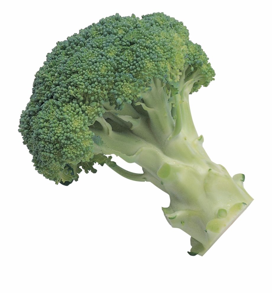 Broccoli Broccoli With Transparent Background