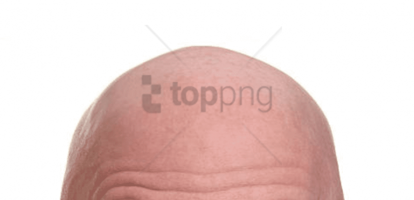 Bald Png