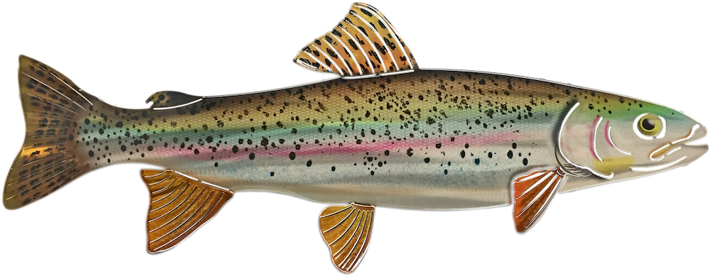 Rainbow Png Coastal Cutthroat Trout