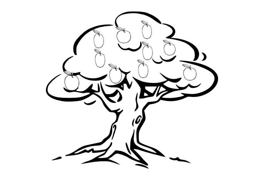 oak tree drawing simple
