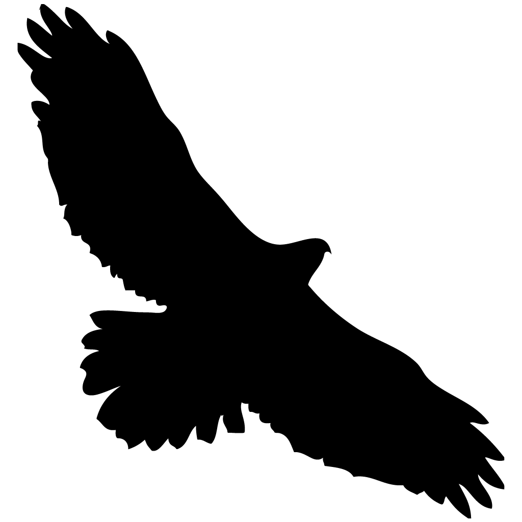 Wing Silhouette Png