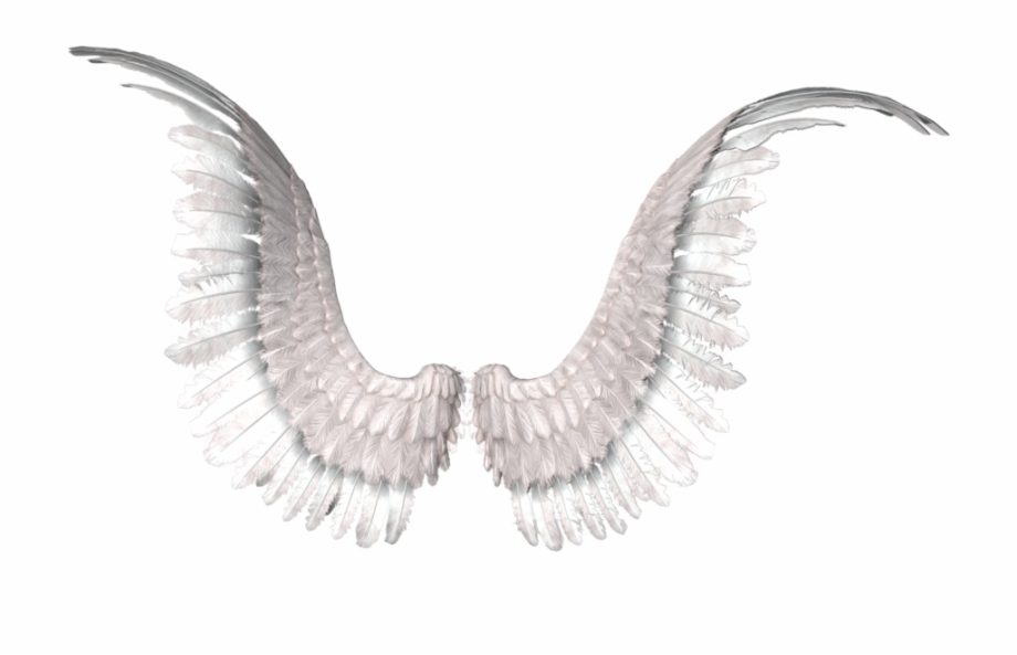 Wings Photo Editing Tumblr Png Angel Wings Image