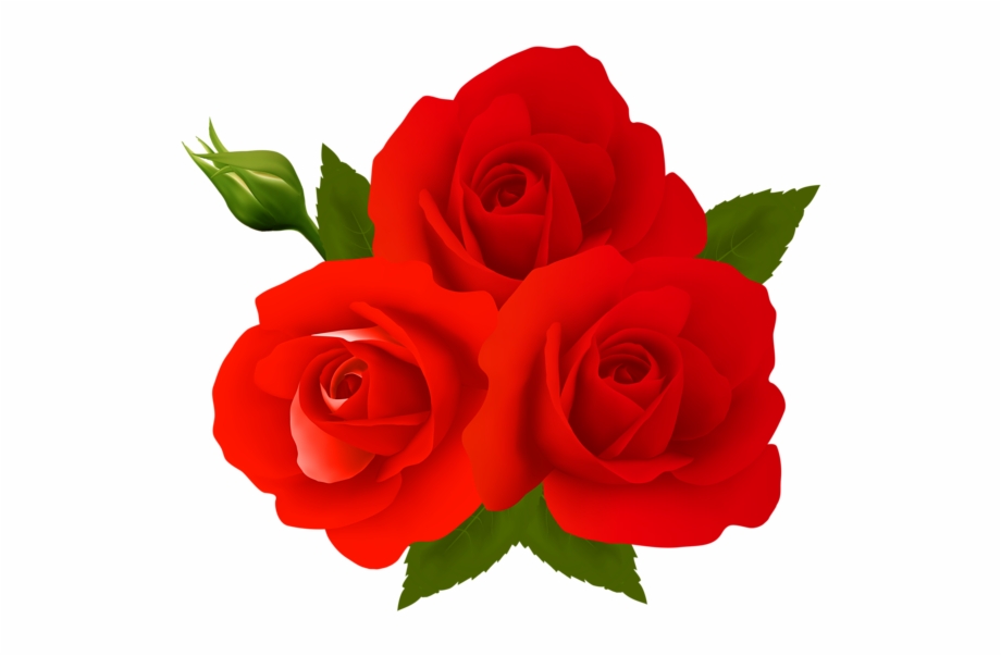 Free Rose Flower Png, Download Free Rose Flower Png png images, Free ...