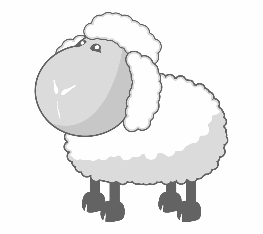 Sheep In Gray Baa Baa Wooly Sheep
