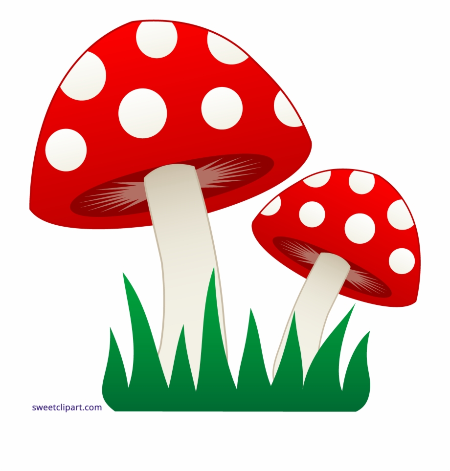 Mushrooms In Grass Clipart Mushroom Clip Art Mushroom