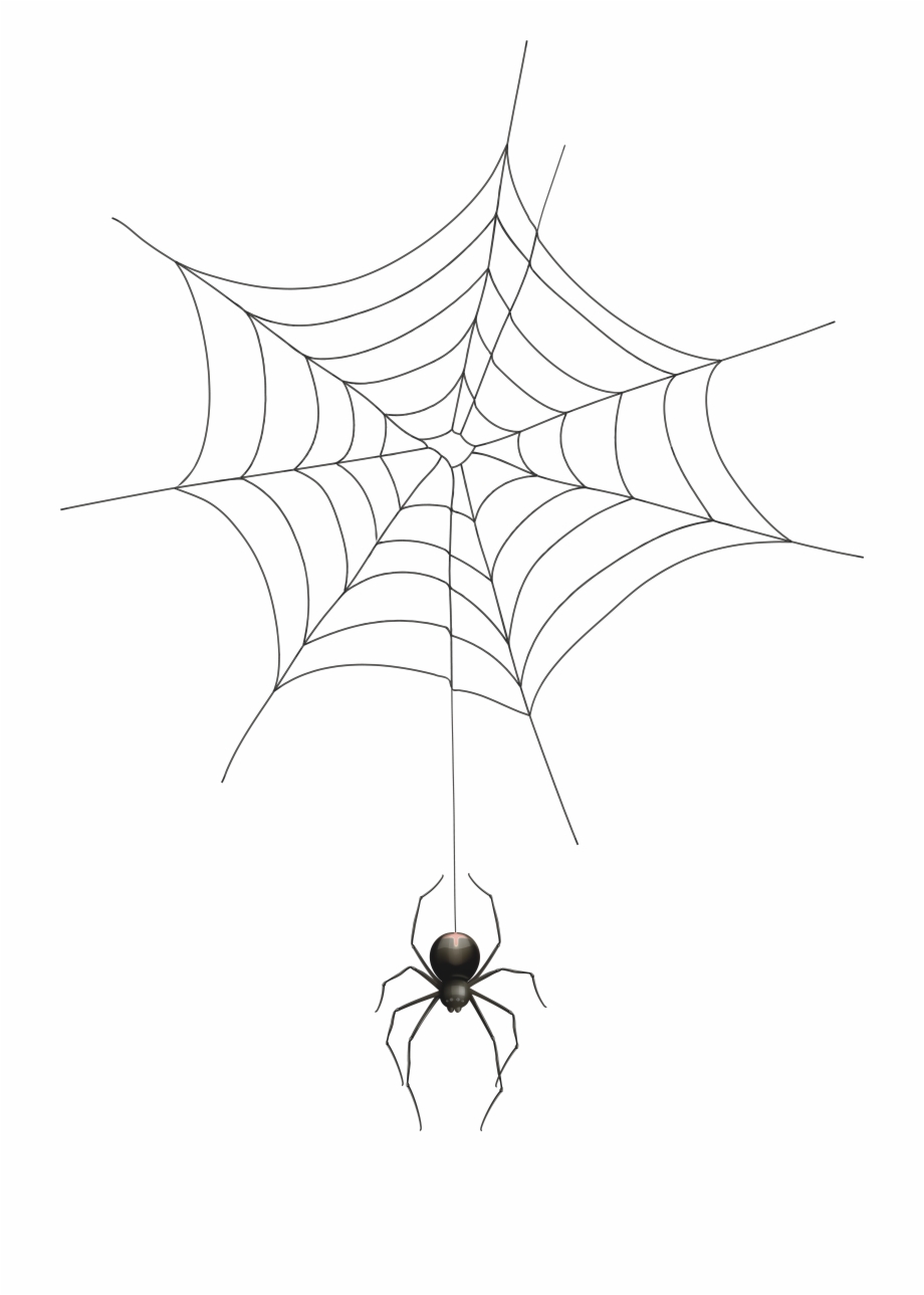 Halloween Spider Png