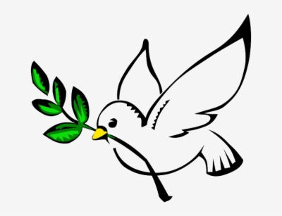 Peace Pigeon Png