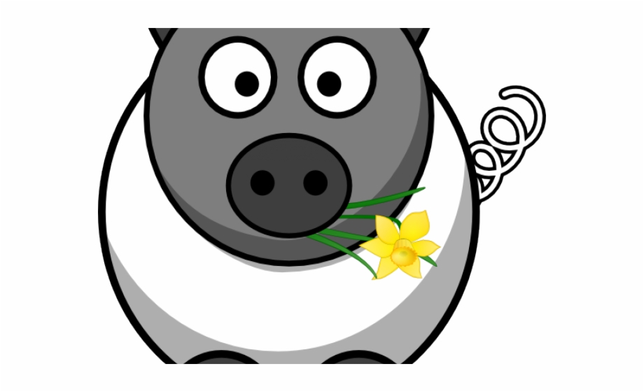 Sheep Clipart Pig Simple Easy Animal Drawings