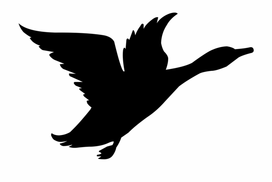 Lee High School Logo Seabird