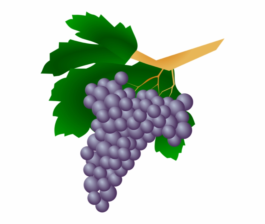 Wine Grapes Free Clipart Images Wine Grapes Clip