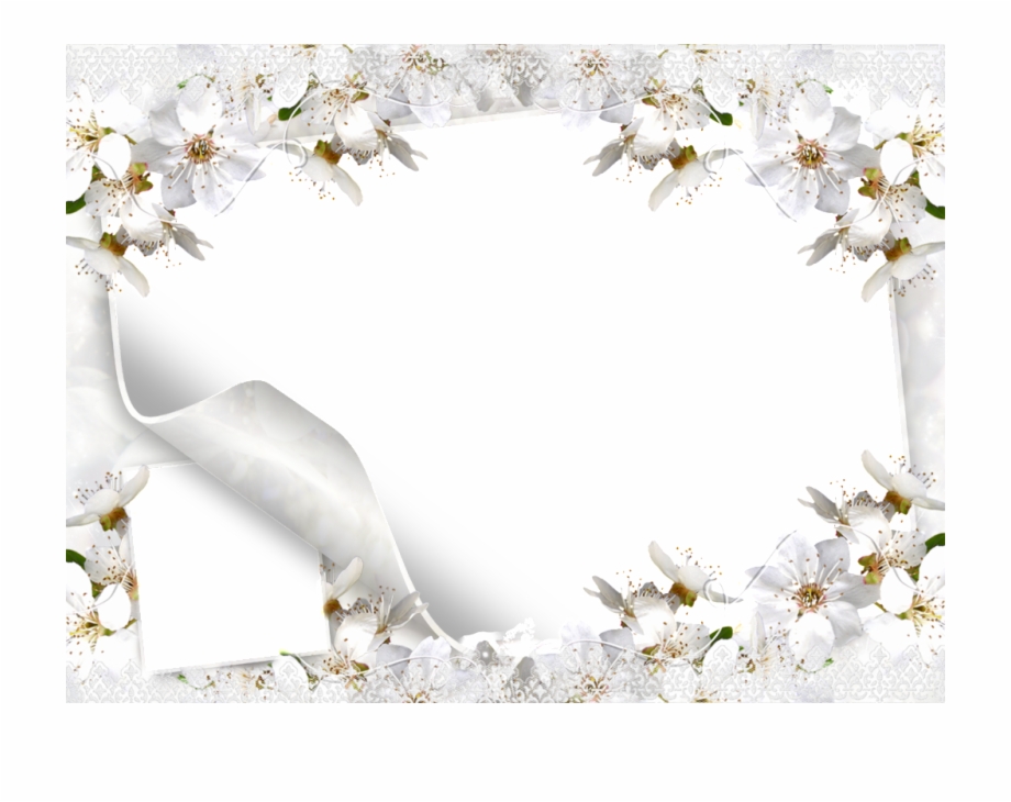 Wedding White Background Png