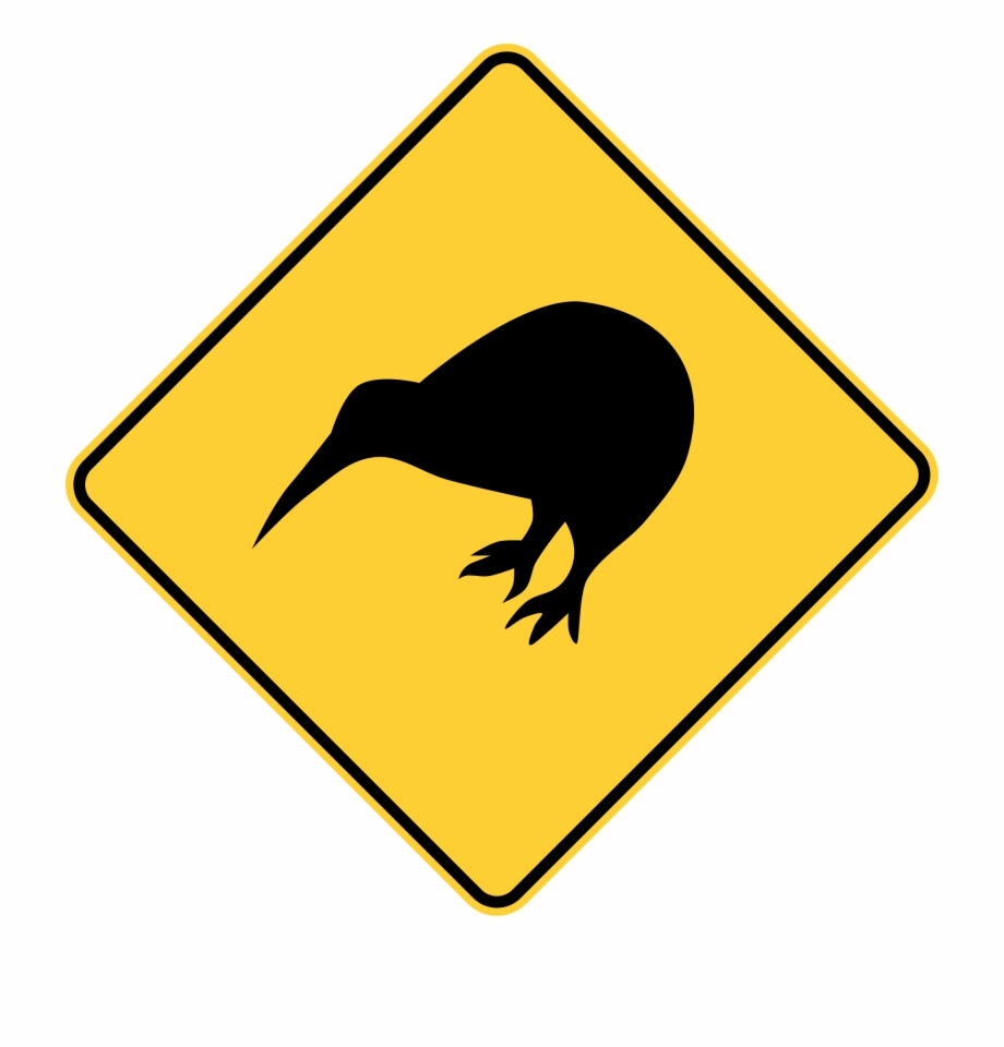 Kiwi Clipart Bird Nz Stewart Island