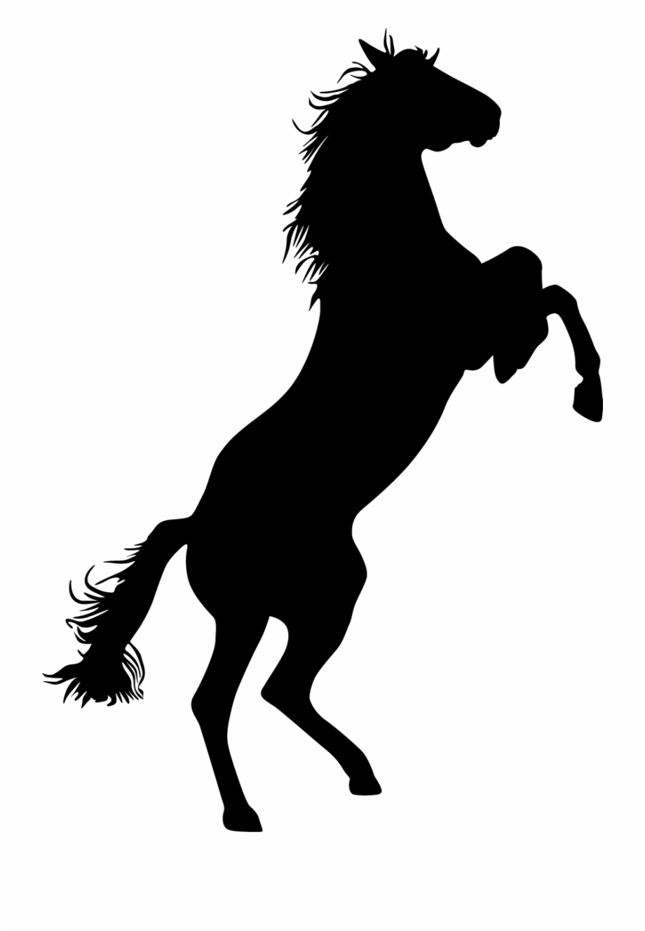 transparent standing horse silhouette
