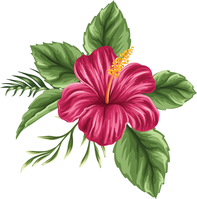 Hawaiian Flowers Png