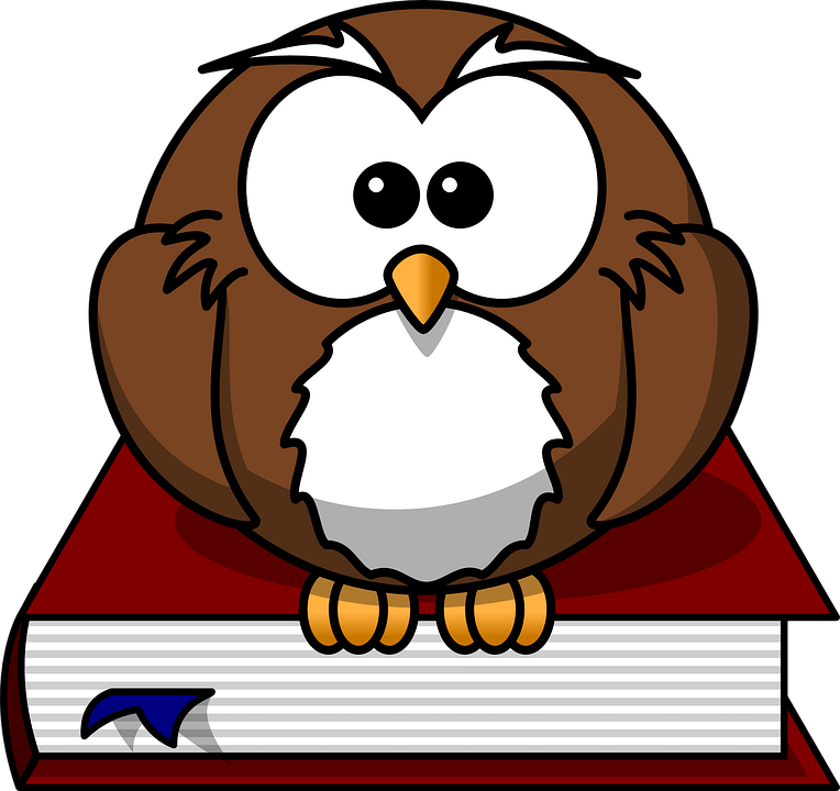 Cartoon Owl Sitting On A Book Png Images