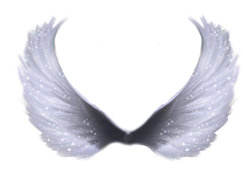 White Angel Wings Png