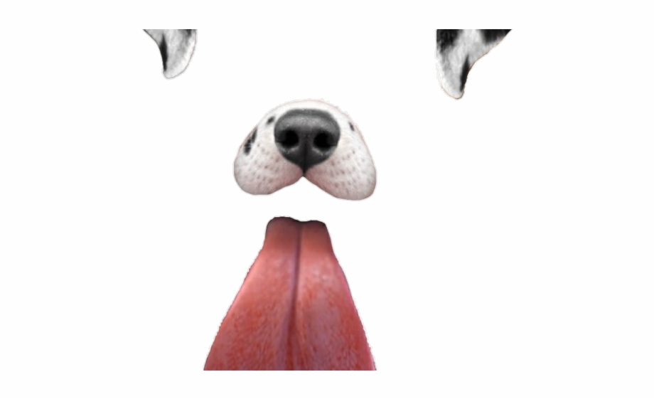 Snapchat Filters Png Transparent Images Transparent Dog Face