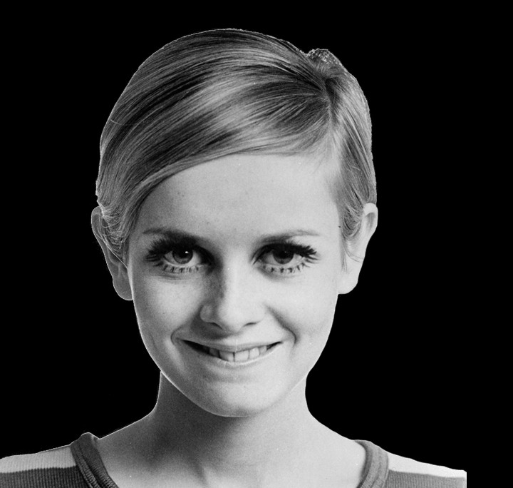 The Latest Celebrity Free Transparent Png Images Twiggy